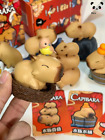 Authentic Animal Planet Capybara Confirmed style doll decoration Birthday Gift