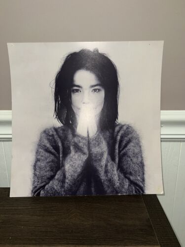 VINTAGE 1993 BJORK DEBUT double sided PROMO RECORD FLAT POSTER