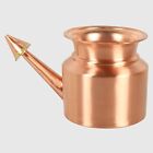 Copper Jal Neti Pot Ayurvedic for Sinus Congestion and Nasal Cleansing  ( 01 PC)