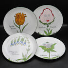 Scully & Scully Nonsense Plant Plates, Set of Four (4), Creative Botanicals