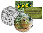 AFRICAN BULLFROG * Collectible Frogs * JFK Kennedy Half Dollar US Colorized Coin