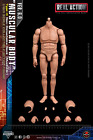 1:6 Soldier Story Ver. 6.0 Male Muscle Body Type C Non Detachable Neck SS-A003