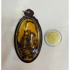 Cicada Plant Natural Herbs Charming Oil Waterproof Pendant Thai Amulet