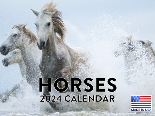 Horse Beautiful Horses 2024 Wall Calendar