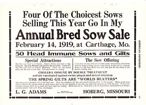 1919 American Swineherd Hog Sales  Carthage & Hoberg & Drexel MO ~ St James MN