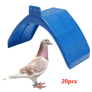 20x Pigeon Dove Bird Rest Stand Frame Dwelling Perches Roost Bird Supplies Blue