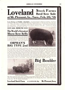 1918 American Swineherd Hog Sales  Loveland Farm Mt Pleasant IA   Reeds MO