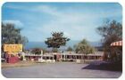 Luray VA Tower Motel Vintage Postcard - Virginia