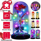 Mother's Day Gift Eternal Rose Flower LED Enchanted Galaxy Rose Girlfriend Gifts