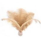 Champagne Ostrich Feathers Bulk - 24pcs 10-12inch Boho Feathers for vase and ...