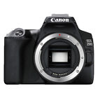 Canon EOS 250D 24.2MP 4K Digital SLR Camera Body