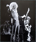 LED ZEPPELIN POSTER PAGE 1975 PAGE & PLANT LONDON EARLS COURT CONCERT . P24