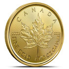 2024 1/10 oz Canadian Gold Maple Leaf Coin (BU)