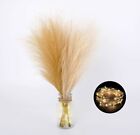 Faux Pampas Grass, Set of 6 Stems 17'' Short Artificial Fake Flowers with light