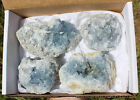 Bulk LARGE Natural Celestite Crystal Cluster Geode 2lb - 3lb (4-5 Piece Box Lot)