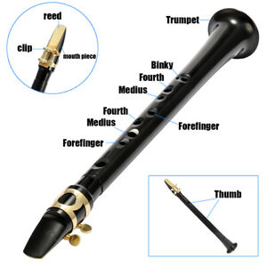 Portable Mini Sax Pocket Saxophone C Key Woodwind Instrument with Carry Bag T7K1