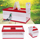 Racing Pigeon Carrier Box Large Plastic Bird Cage+2 Side Doors +2 Top Doors