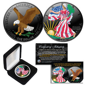 Dual BLACK RUTHENIUM COLORIZED 2-Sided 1 Troy Oz 2024 Silver Eagle Coin w/Box T2
