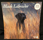 Black Labrador Calendar 2022