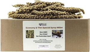 Birds LOVE Economy & Thin Special Spray Millet - Natural Bird Treat GMO-Free 5lb