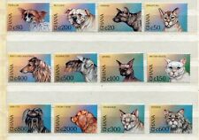 FAUNA_2462 1997 Ghana animals cats dogs 12 pc MNH Combined payments&shipping