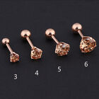 Stud Earrings Earrings Eardrop Ear Ring Stainless Steel Jewelry Women Jewelry