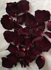 Rose Petals Burgundy Wedding Flower ~ USA Free Ship