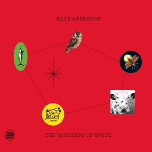 Reid Anderson The Vastness of Space (2-LP Set)