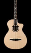 Taylor 812ce-N #53052 with Factory Warranty and Case!