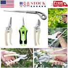 Garden Tool Set - Mini Hand Saw, Curved Blade Trimmer, Pruning Shears Set
