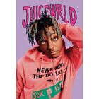 Juice Wrld World Never Mind Poster 24 In x 36 Inches