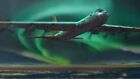 Roden 1/144 Scale Convair B36B Peacemaker Early USAF Bomber KIT#347~MINT in BOX