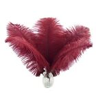 Ostrich Feathers Bulk - 24Pcs 10-12inch Feathers for Party Burgundy
