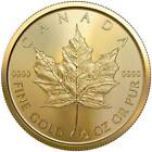 2023 Gold 1/2 oz Canada Maple Leaf Coin