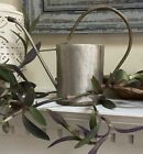 TAG LTD Vintage Small Indoor Plant Watering Can Metal Decor