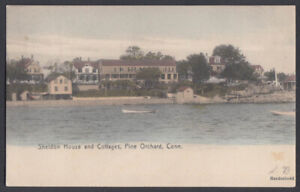 Sheldon House & Cottages Pine Orchard CT undivided back postcard 1907