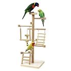 Bird Playground Parrots Play Stand Parakeets Play Gyms Set Table playground L