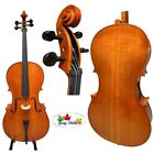 Strad style SONG Brand Master Cello 1/2,Stradivarius Modell,sweet tone