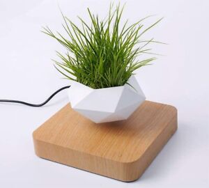 Magnetic Levitation Air Bonsai Pot Mini Sky-Garden Rotating Flowerpot Planter