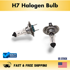 H7 Halogen Headlight Bulb Pair (2 Bulbs)