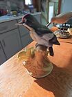 VTG Andrea By Sadek Downy Woodpecker 9386 Figurine w/ wood base mint condition