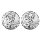 New ListingLot of 2 - 2024 $1 American Silver Eagle 1 oz BU