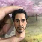 Delicate Paint 1/6 Scale Iron Man Tony Stark Downey Head Sculpt Fit 12