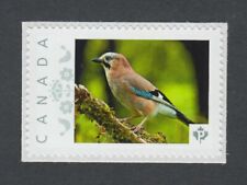 JAY BIRD = Picture Postage stamp Canada 2014 [p76bd6/4]