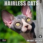 Hairless Cats 2024 Hangable Monthly Wall Calendar 12