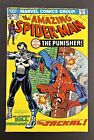 The Amazing Spider-Man #129, 1974 First App of The Punisher!! Original & Clean!!