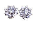 Dainty 14K White Gold Blue Tanzanite Flower STS Chuck Clemency Stud Earrings