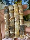Natural Indonesian Agatized Coral Fossil Beads Stretch Bracelet Bangle