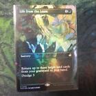 Life From The Loam Borderless Foil English