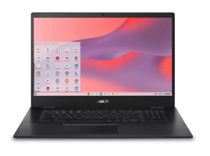 ASUS Chromebook Laptop - 17.3